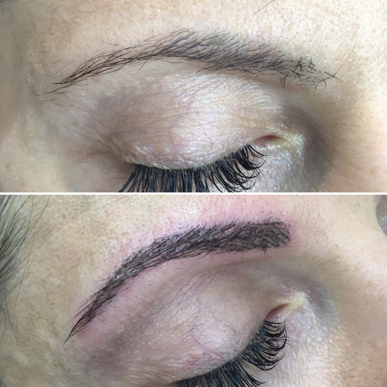 cejas5 cejas5