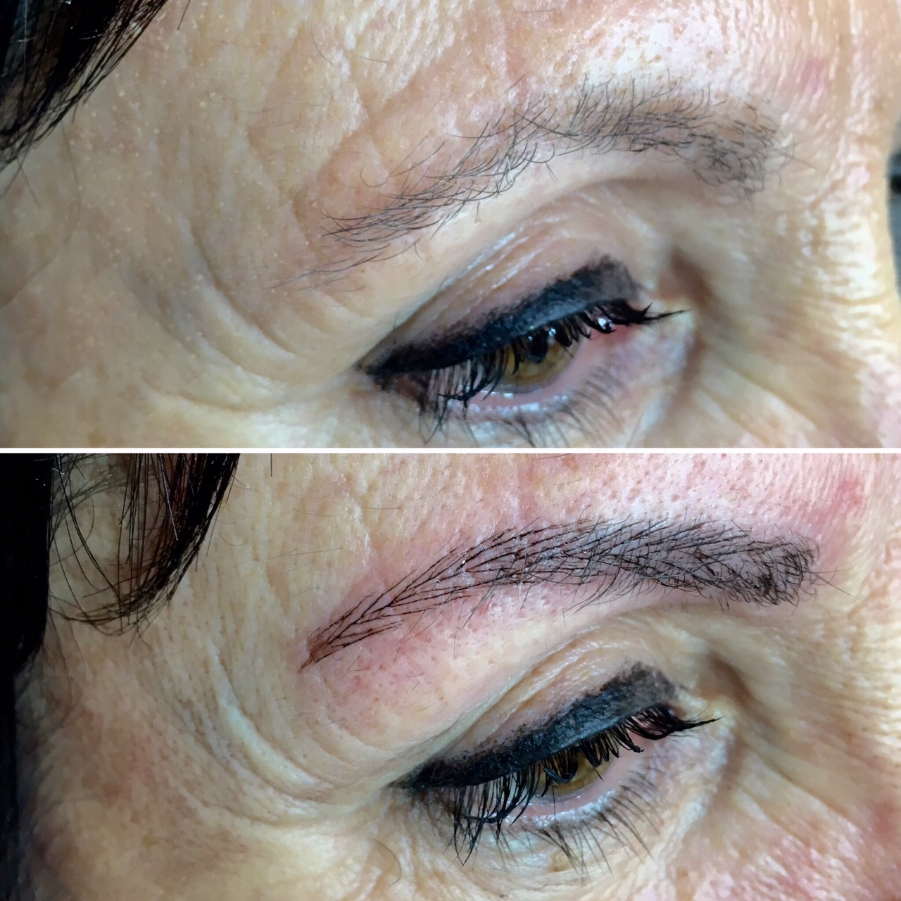 cejas6 cejas6